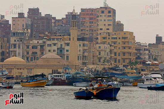 الإسكندرية (1)