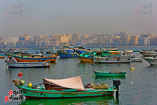 الإسكندرية (11)