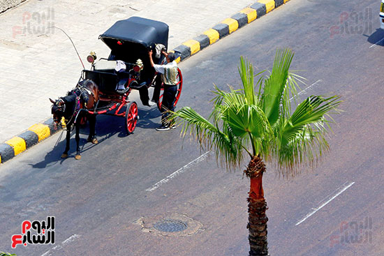 الإسكندرية (4)