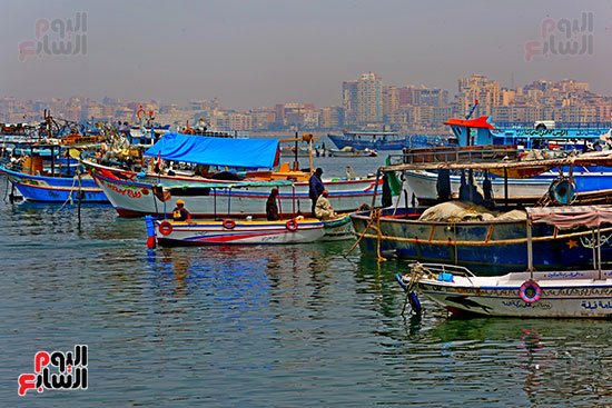 الإسكندرية (13)