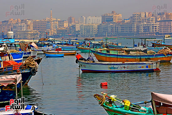 الإسكندرية (12)