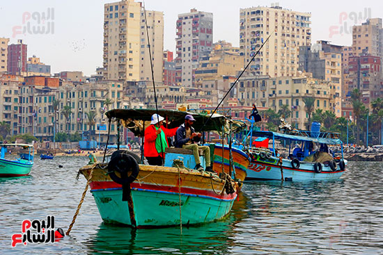 الإسكندرية (15)