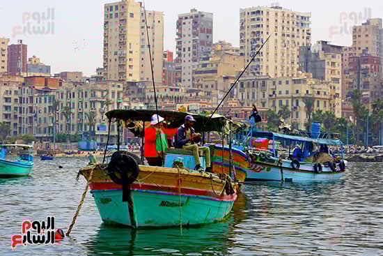 الإسكندرية (15)