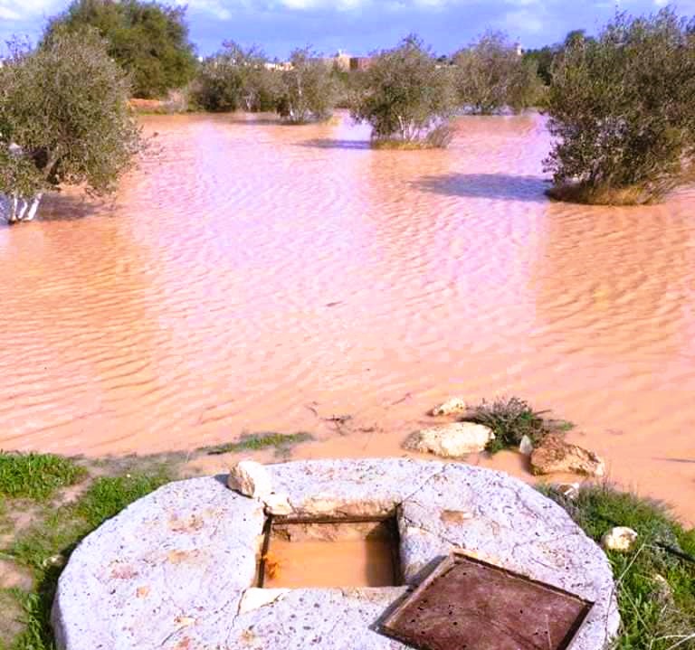 افر ابار حصااد الامطار بمطروح