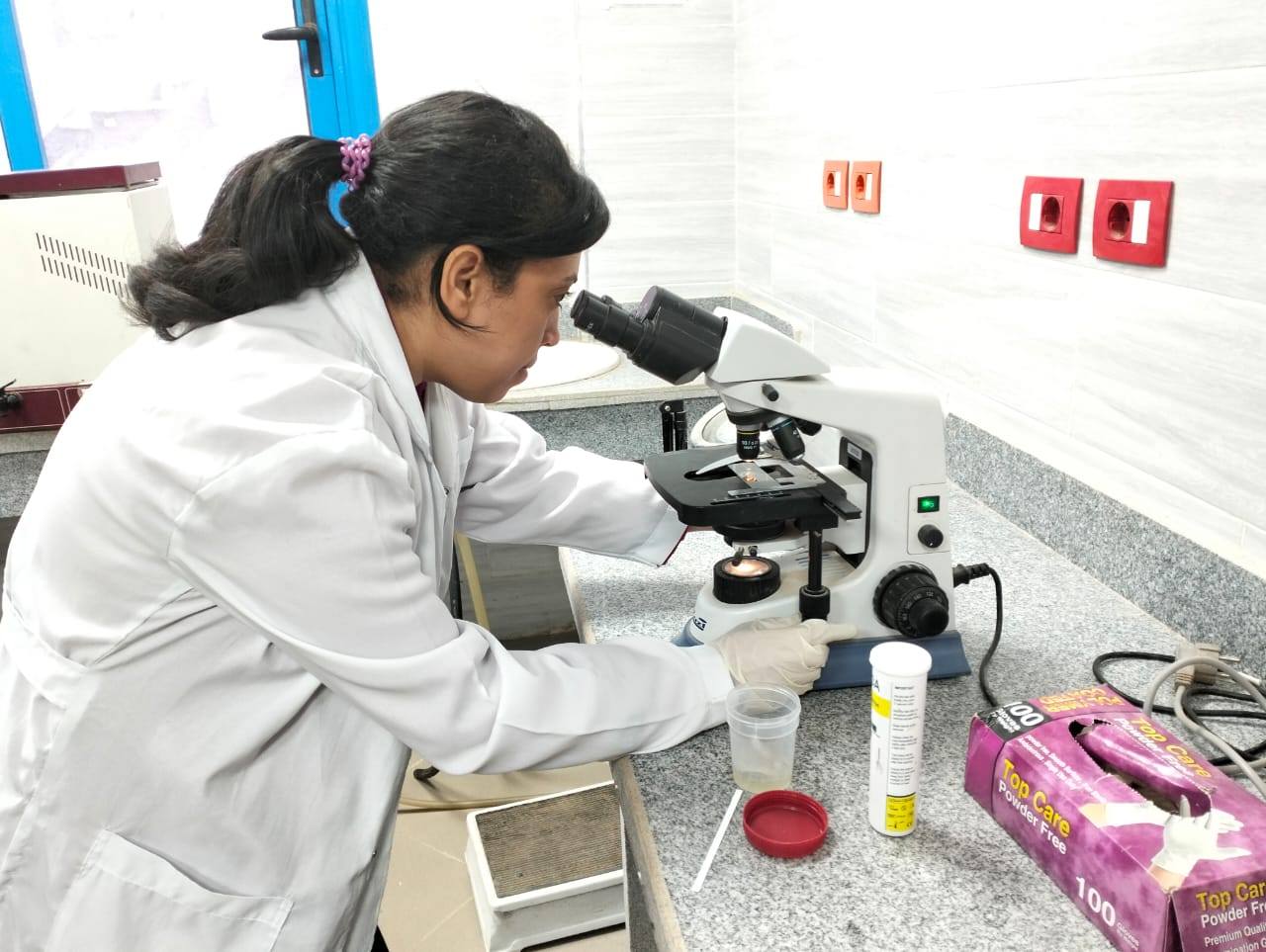 تحليل العينات داخل المبادرة