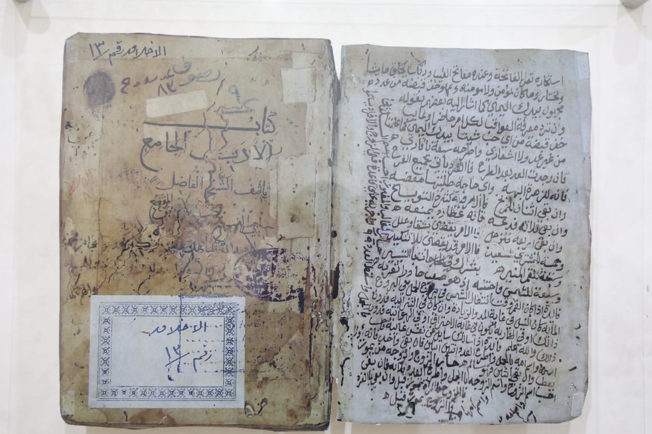 المخطوطات المخطوطات