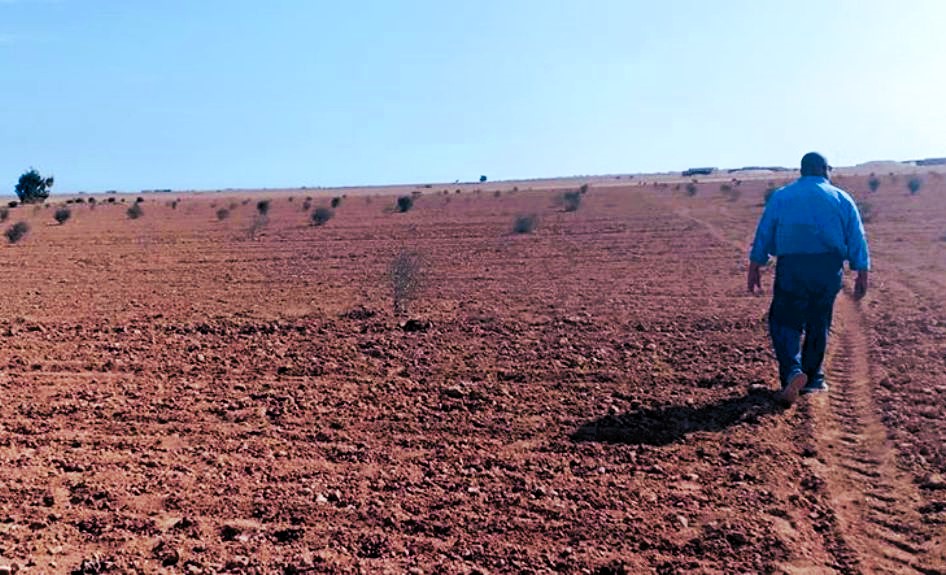 اسصلاح وتنمية وديان مطروح