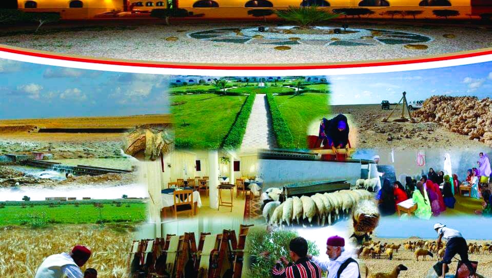 مشروع المواءمة في البيئات الصحراوية بمطروح