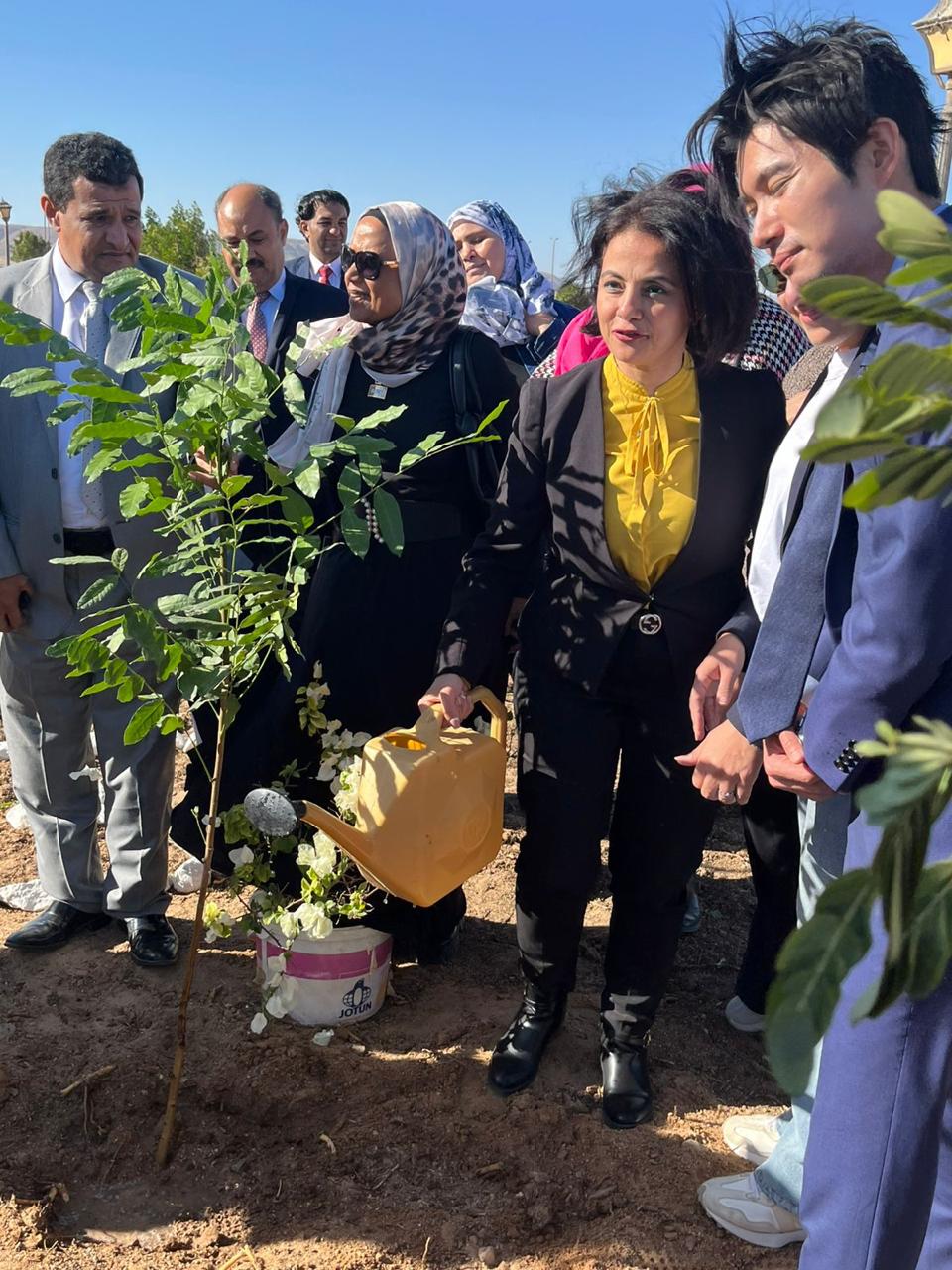 زراعة الشجر زراعة الشجر