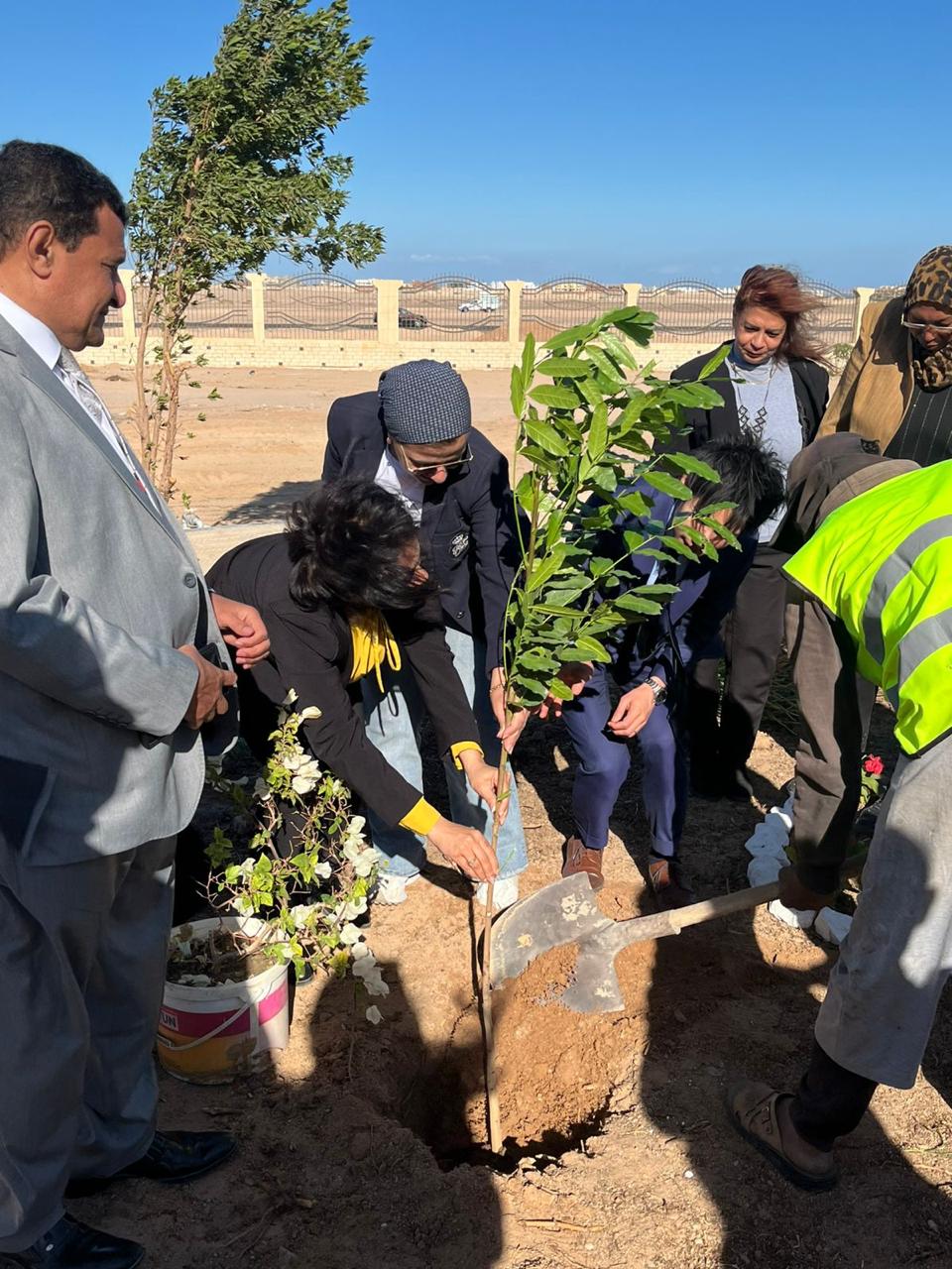 جانب من زراعة الشجر جانب من زراعة الشجر
