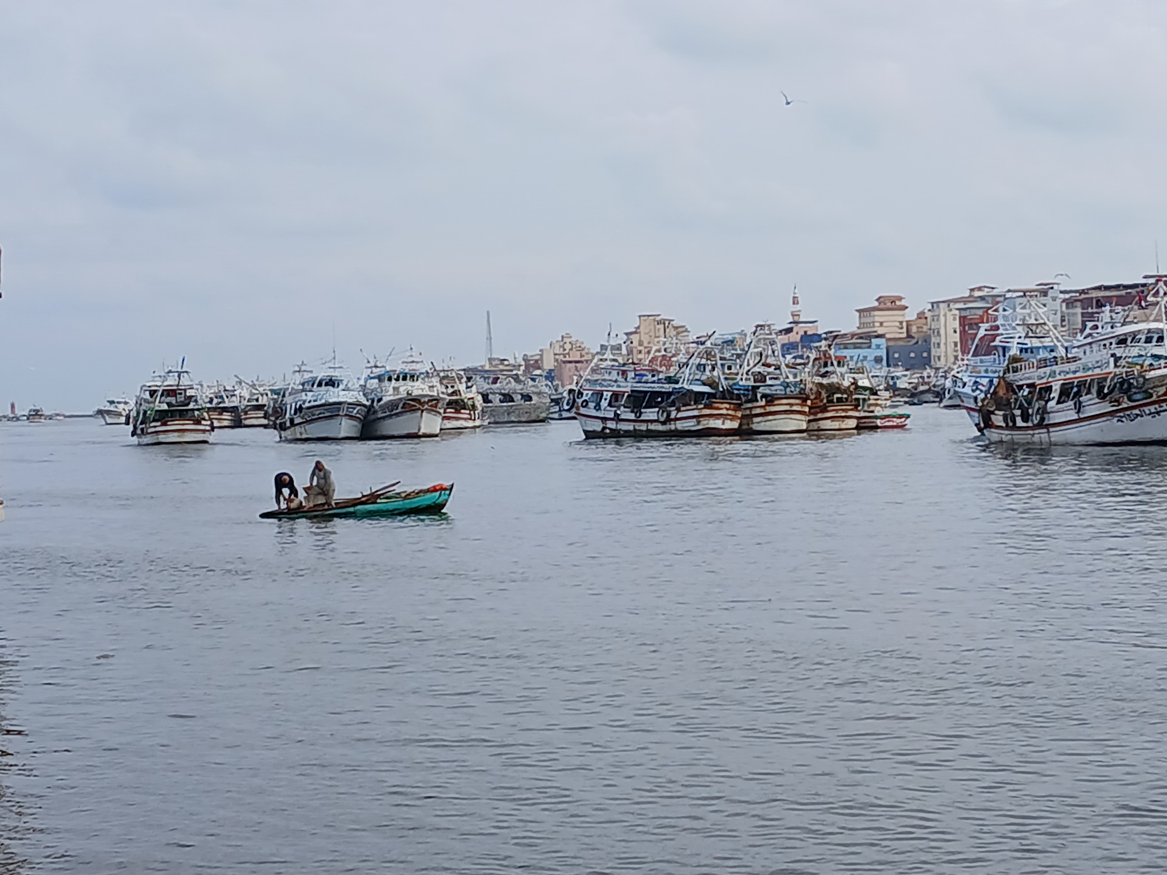 ٢٠٢٥٠١١٦_٠٨٣١١٤_2