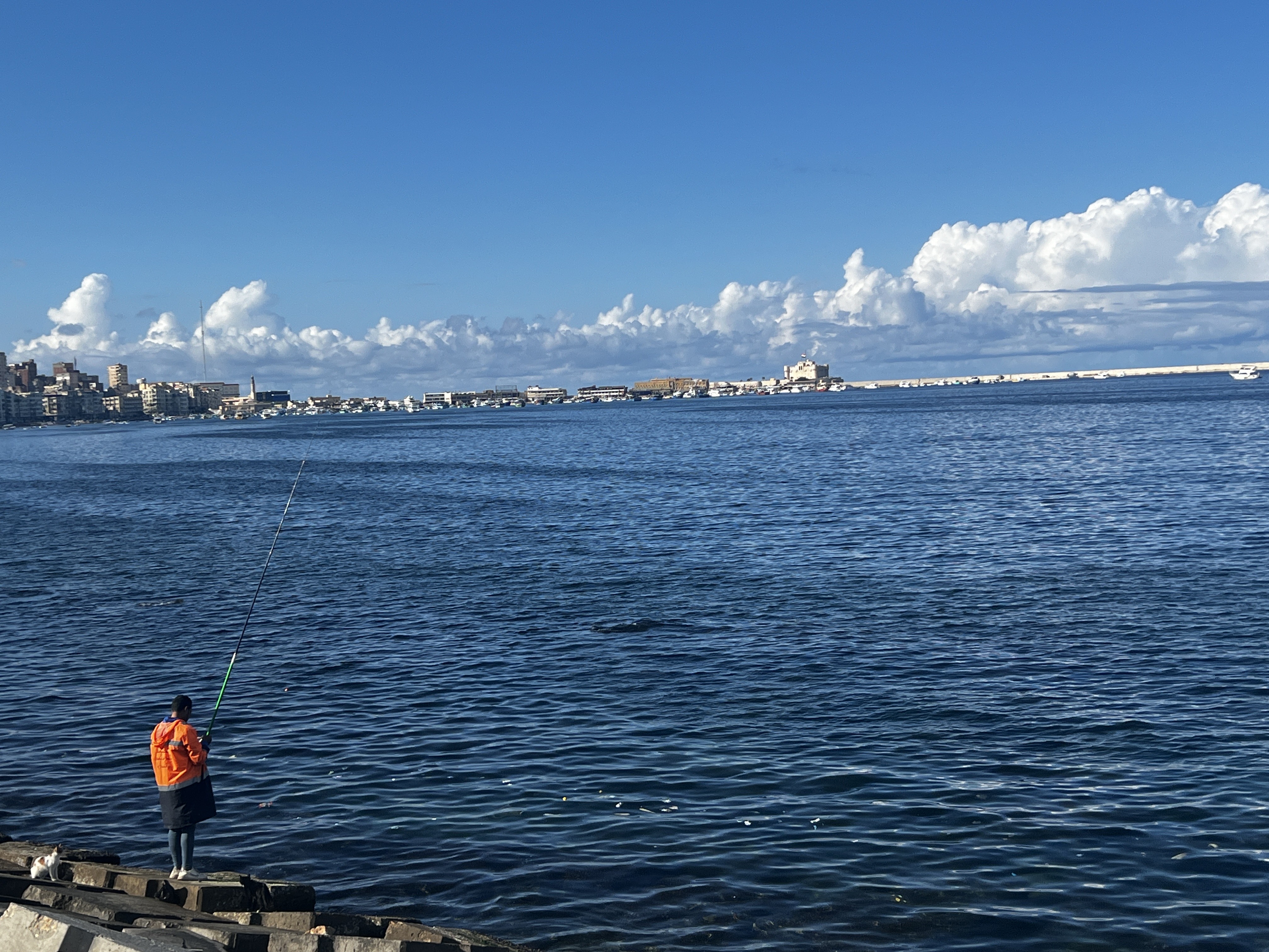 إسكندرية فى النوة حاجه تانية (1)