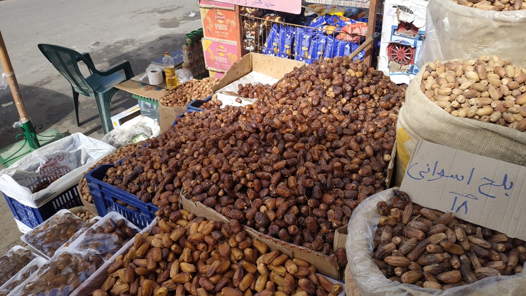 اصناف متعددة من البلح السيوي اصناف متعددة من البلح السيوي