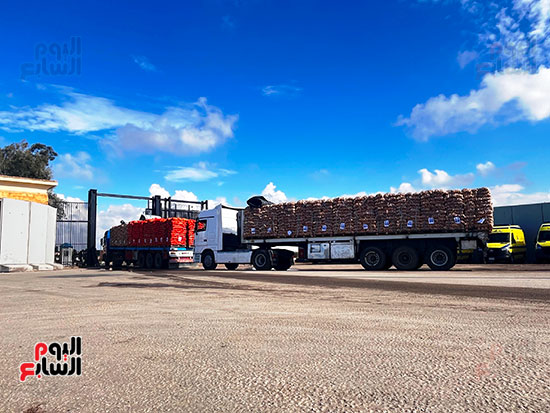 دخول-مساعدات-لغزة-من-معبر-رفح