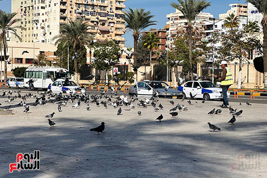 عم محمد يوسف