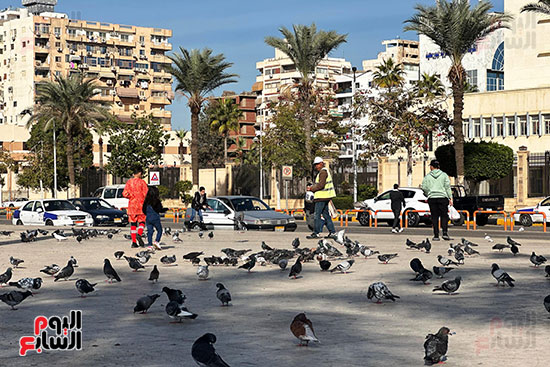 تقديم الطعام 1