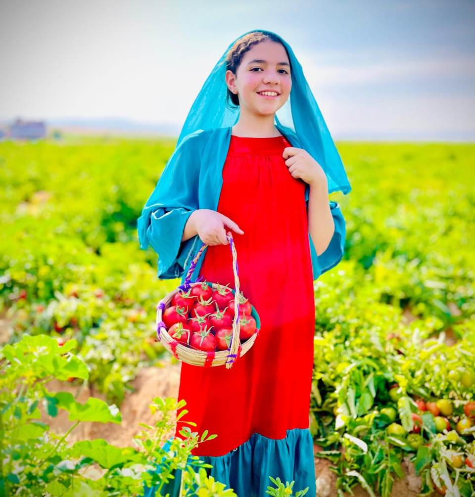طفلة تستمتع مع حصاد الطماطم بإسنا طفلة تستمتع مع حصاد الطماطم بإسنا
