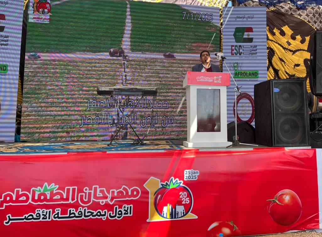 مزارع الطماطم بإسنا تحتفل بموسم الحصاد بفعاليات أول مهرجان للطماطم