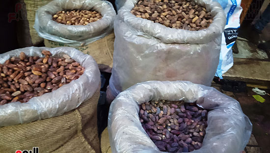 أسواق-الإسكندرية-تتزين-بالفوانيس-والزينة-(3)