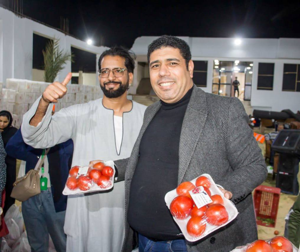 الأقصر تحتفى بزراعة الطماطم وتوزيعه مجاناً على الأهالى