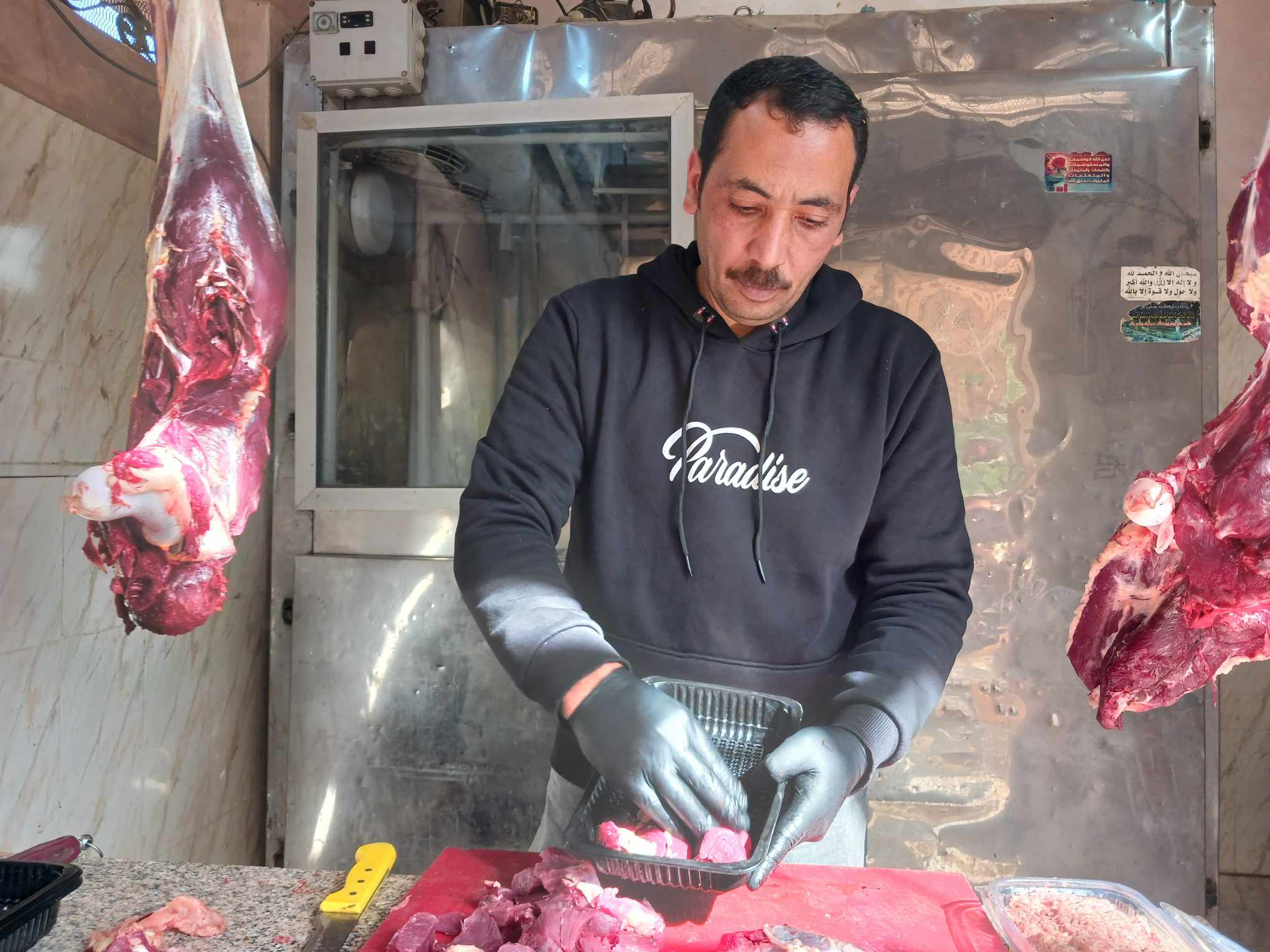 متخصص فى لحم النعام