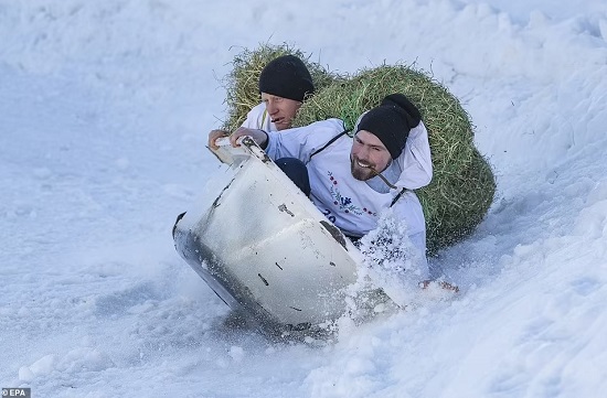 التزلج التزلج