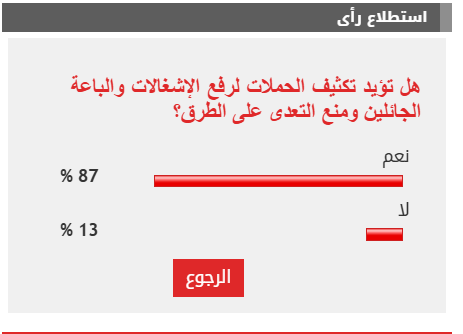 الاستطلاع
