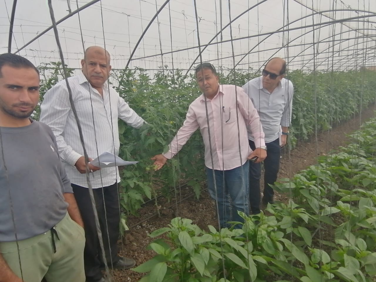 الصوب الزراعية (3)