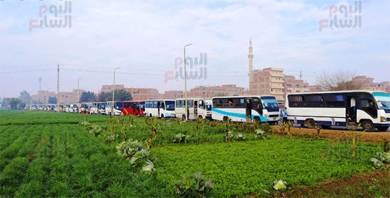 الأتوبيسات-المشاركة الأتوبيسات-المشاركة