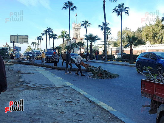 ازالة-المعوقات-بالمسار-البديل