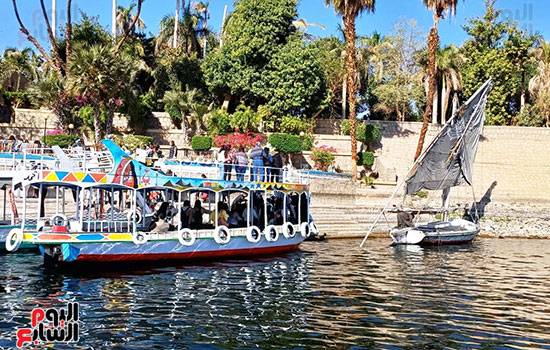 مرسى-جزيرة-النباتات-فى-أسوان مرسى-جزيرة-النباتات-فى-أسوان