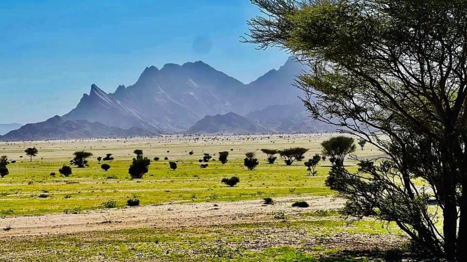 المراعى فى حلايب وشلاتين فى الشتاء