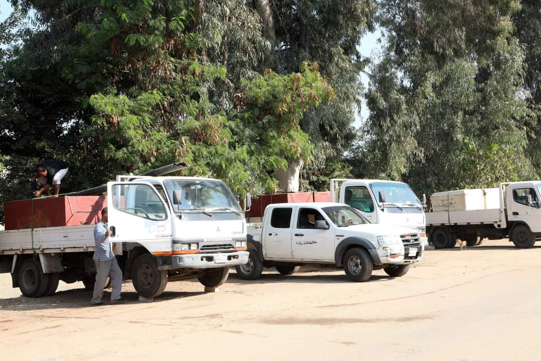 حمولات زريعة البلطي من مفارغ السمكية حمولات زريعة البلطي من مفارغ السمكية