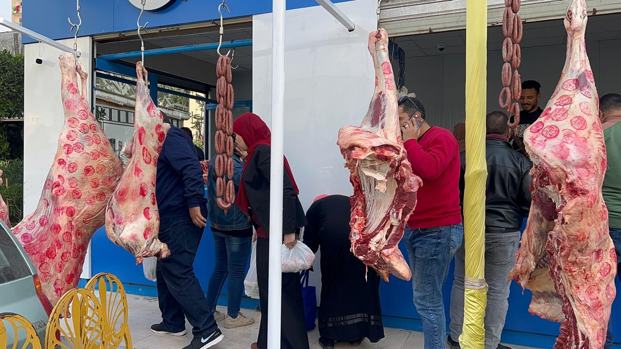 شراء اللحوم البلدي من منفذ حياة كريمة بالدقهلية شراء اللحوم البلدي من منفذ حياة كريمة بالدقهلية