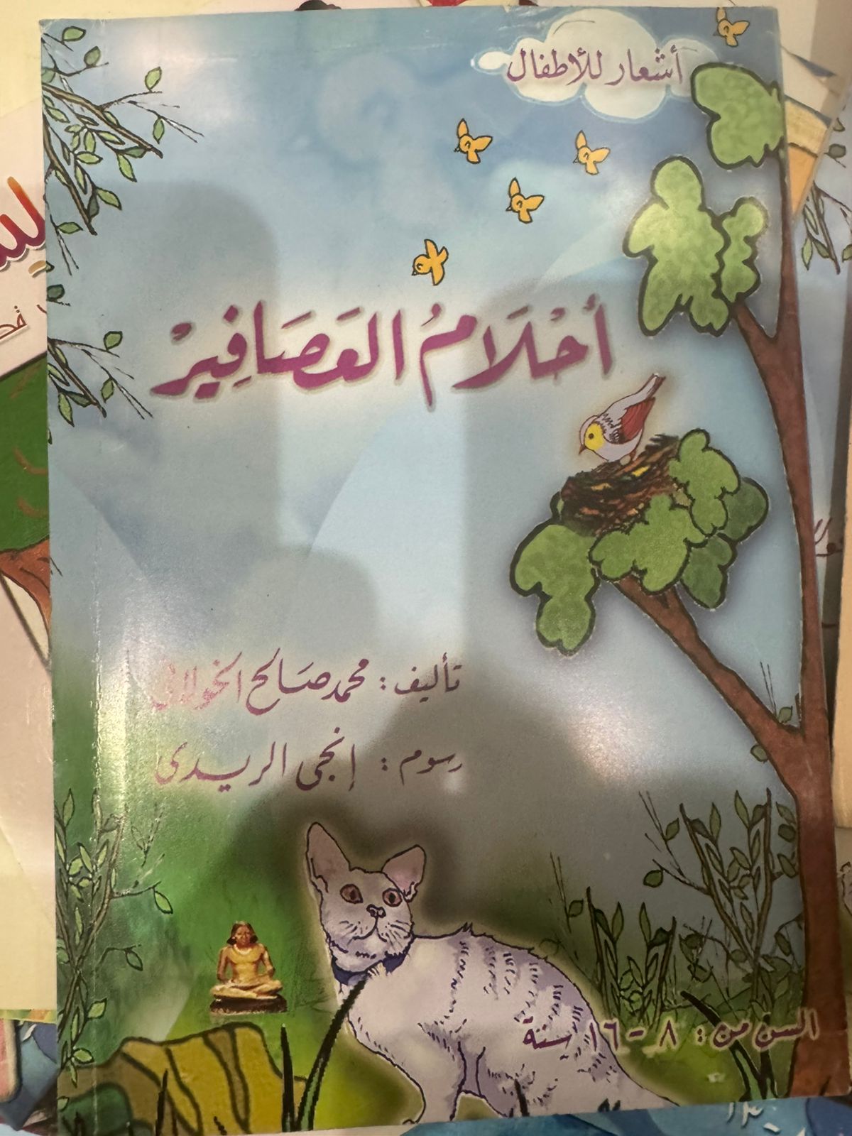 أحلام العصافير أحلام العصافير