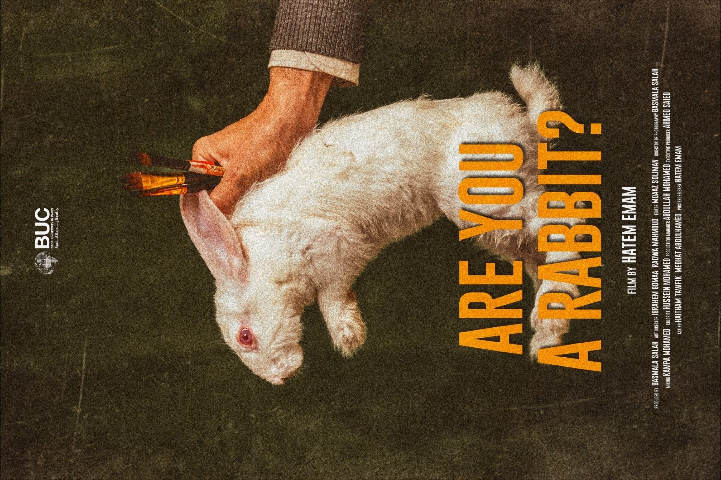 554021-الافلام-المشتركة-(10)