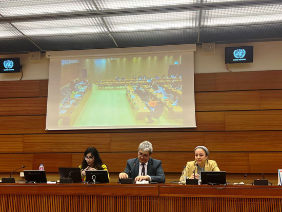 فعالية جانبية للمركز المصري لحقوق المرأة (6)