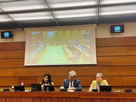 فعالية جانبية للمركز المصري لحقوق المرأة (5)