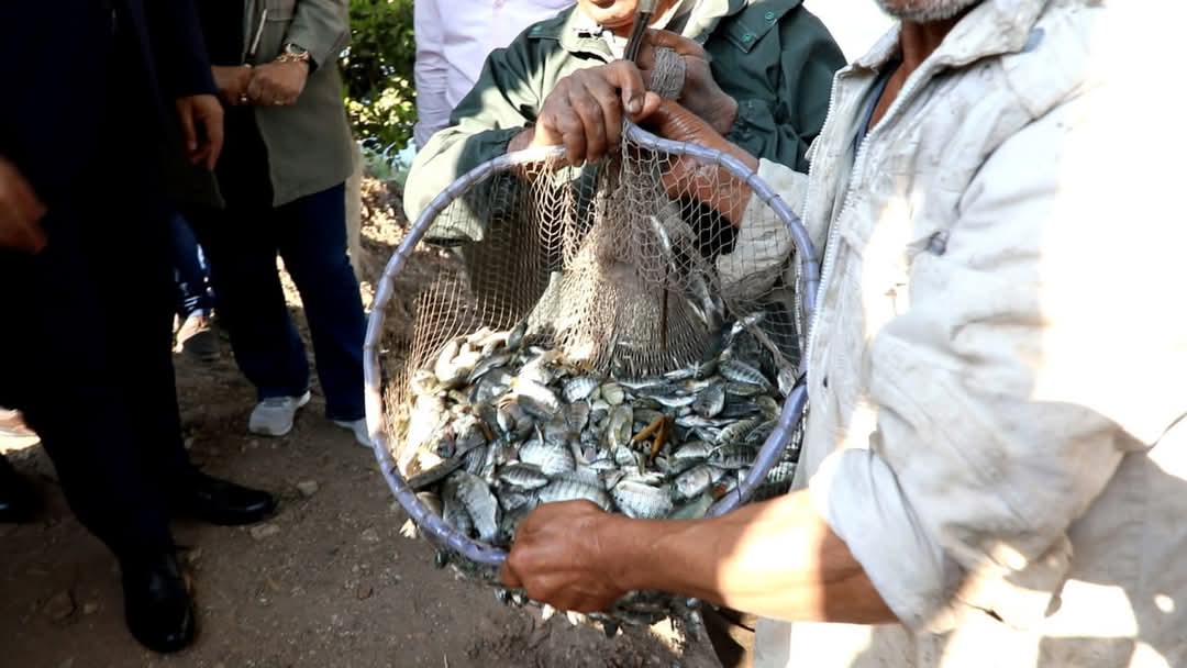 اسماء. الزريعة اسماء. الزريعة