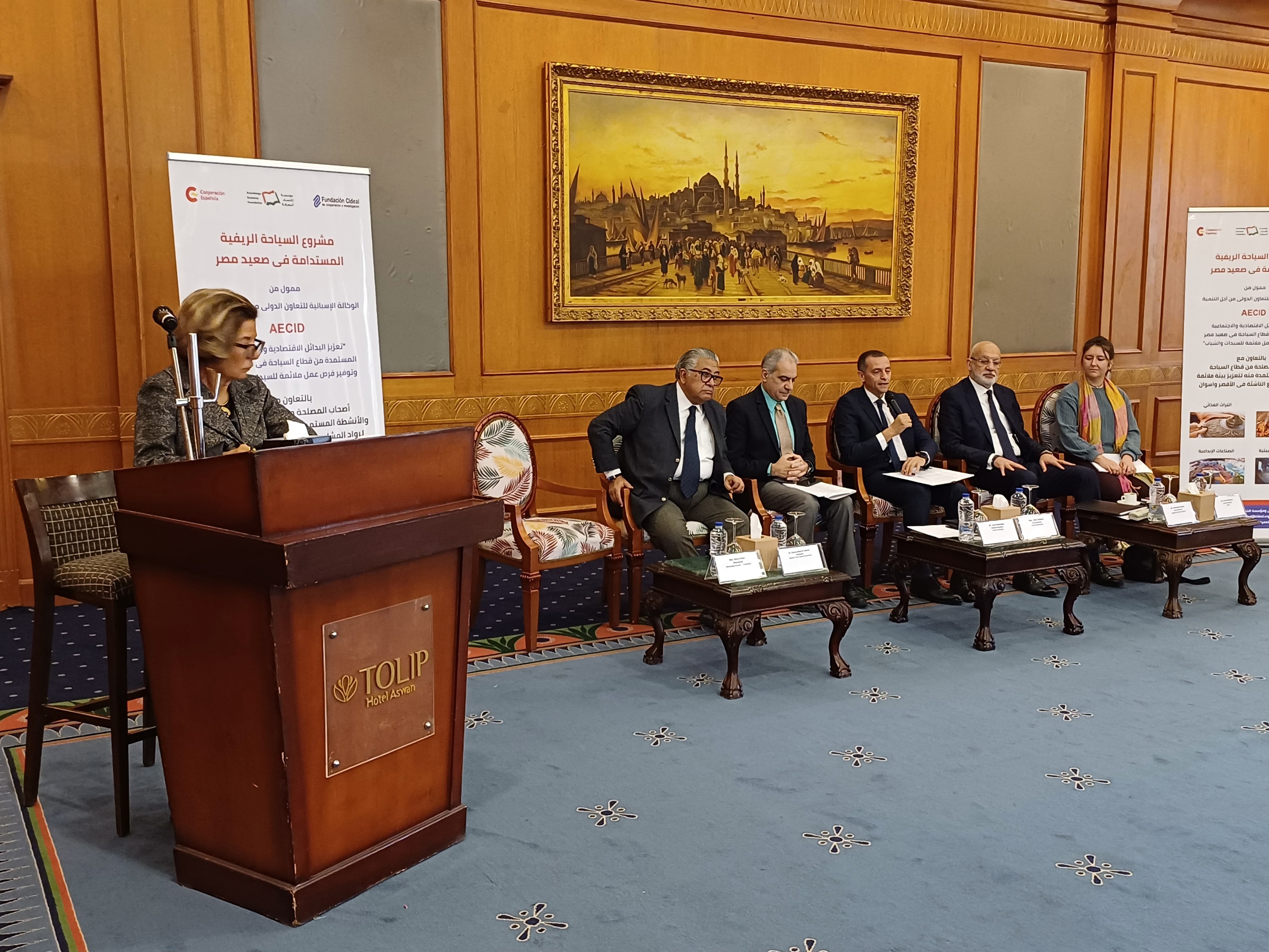 نائب محافظ أسوان 