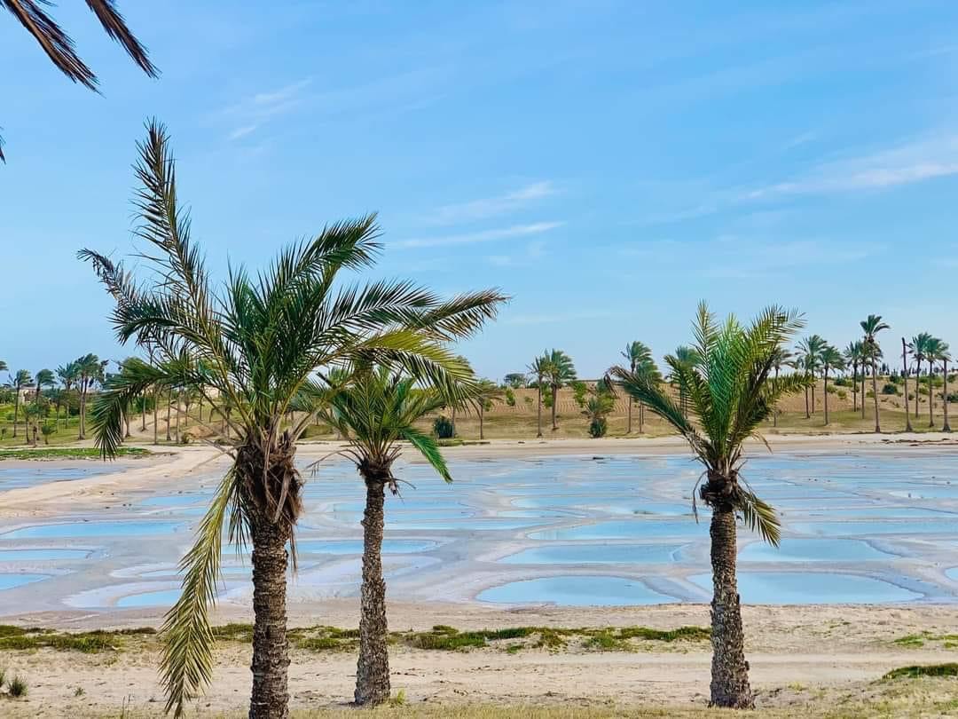 من ملامح سبخة الشيخ زويد من ملامح سبخة الشيخ زويد