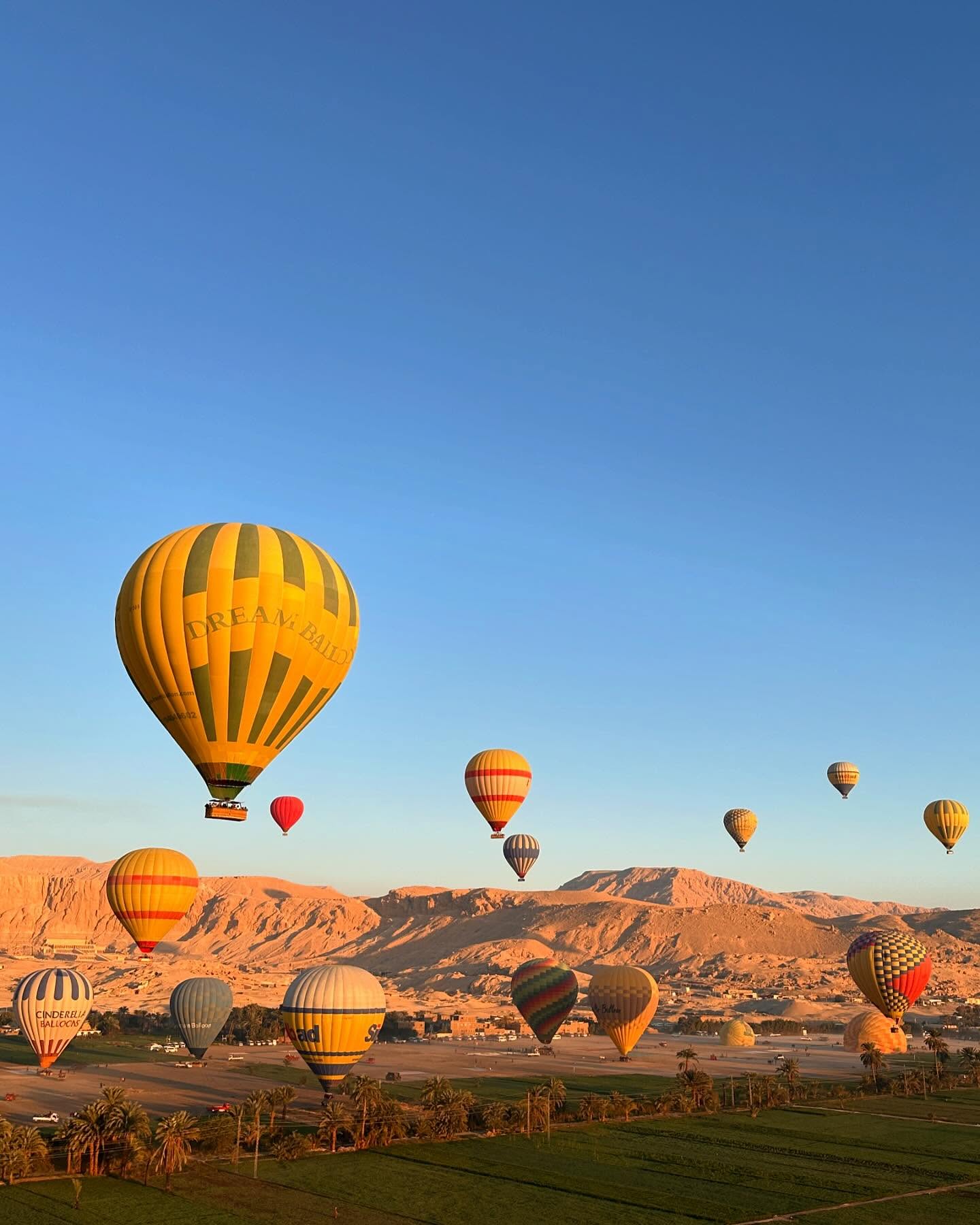 جانب من تحليق رحلات البالون الطائر بالأقصر جانب من تحليق رحلات البالون الطائر بالأقصر