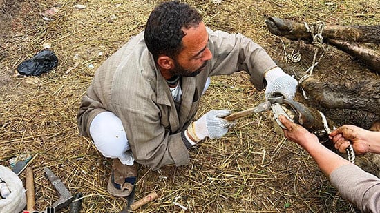 التركيب-بعد-الانتهاء-من-التطهير