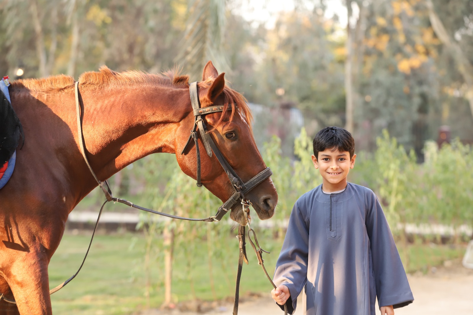 مسلسل فهد البطل