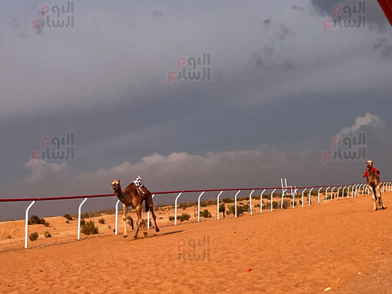 ميدان-سباق-الهجن