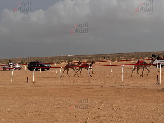 ميدان-السباق