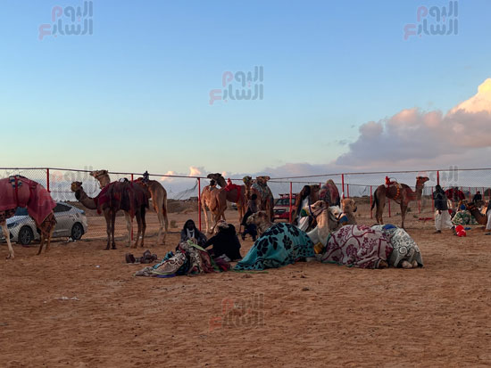 ميدان-السباق