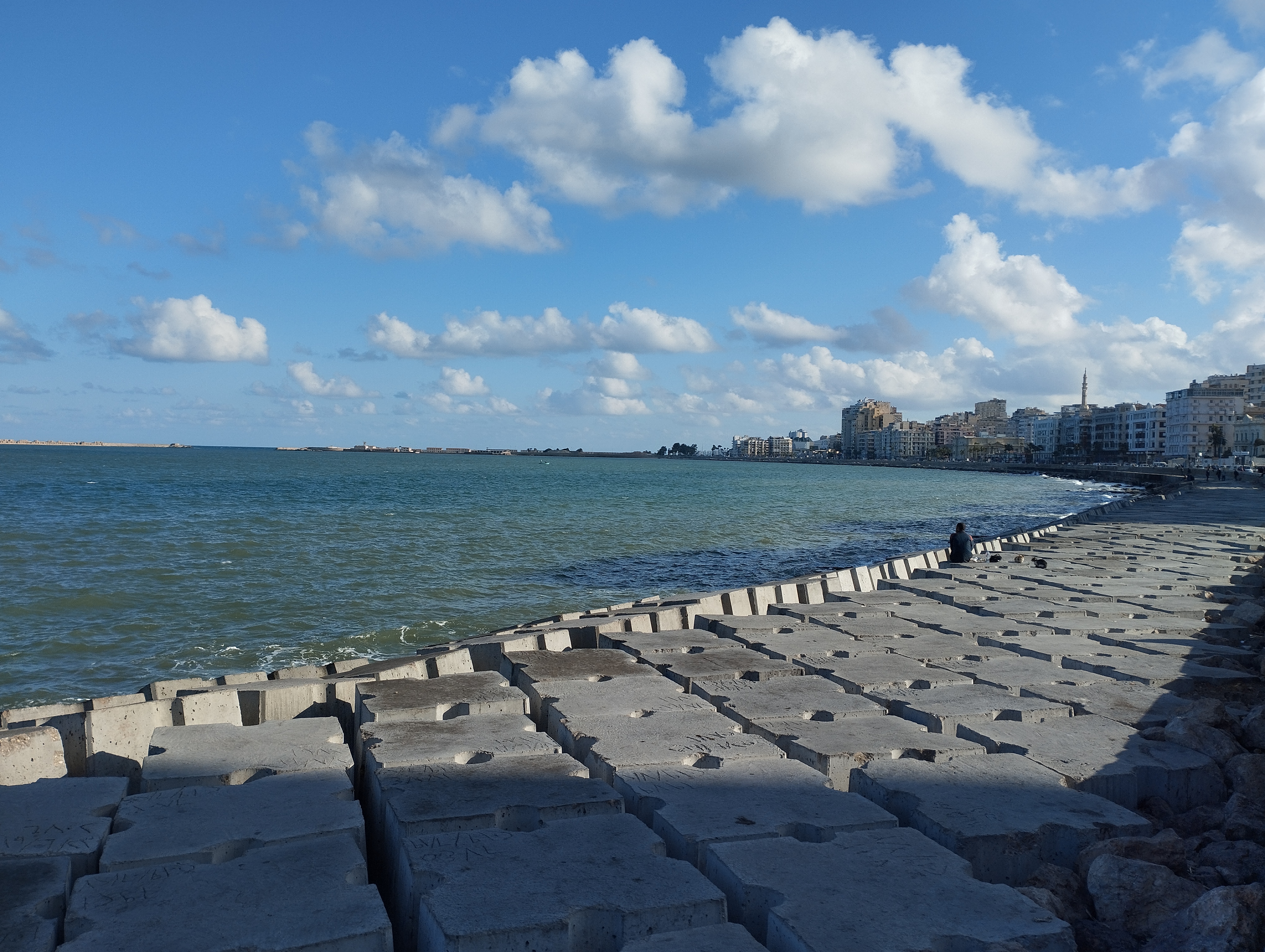 درجات الحرارة المتوقعة في محافظة الإسكندرية درجات الحرارة المتوقعة في محافظة الإسكندرية