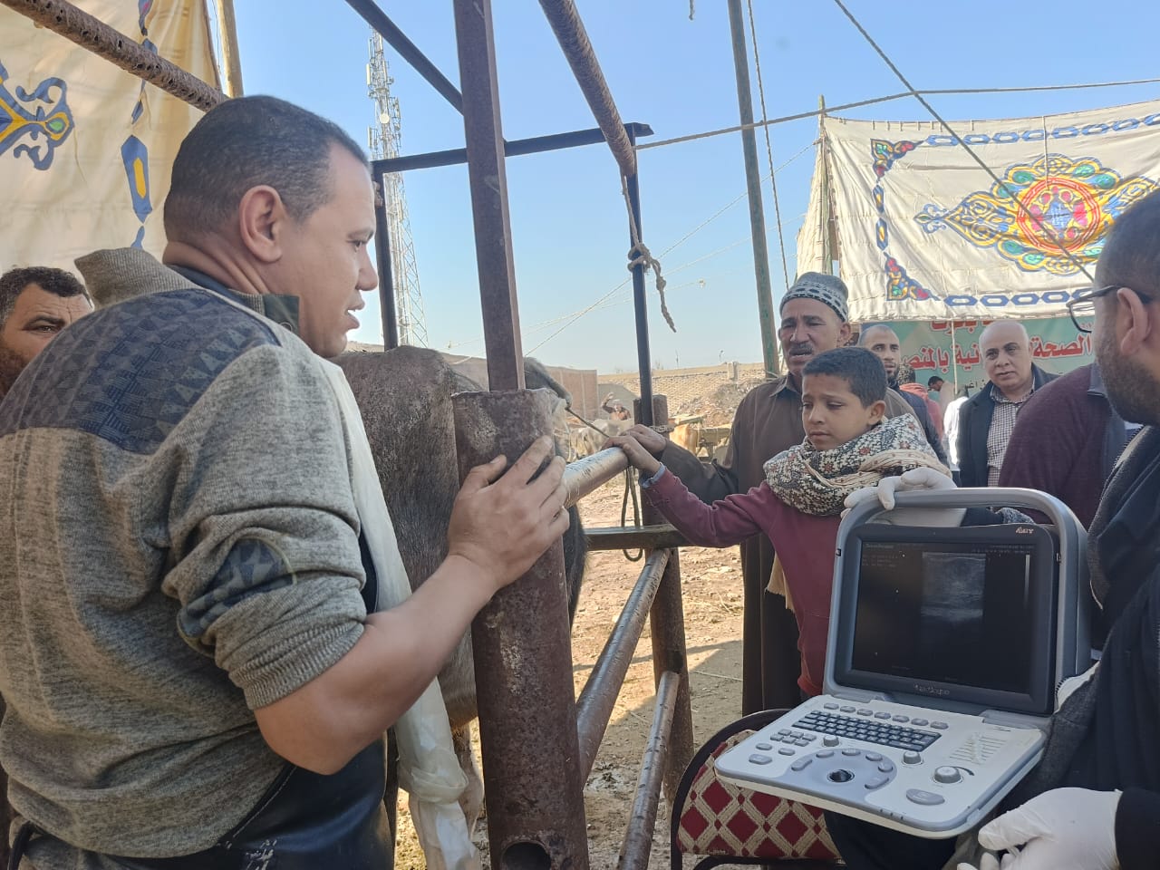 جانب من القافلة البيطرية  بكفر الشيخ