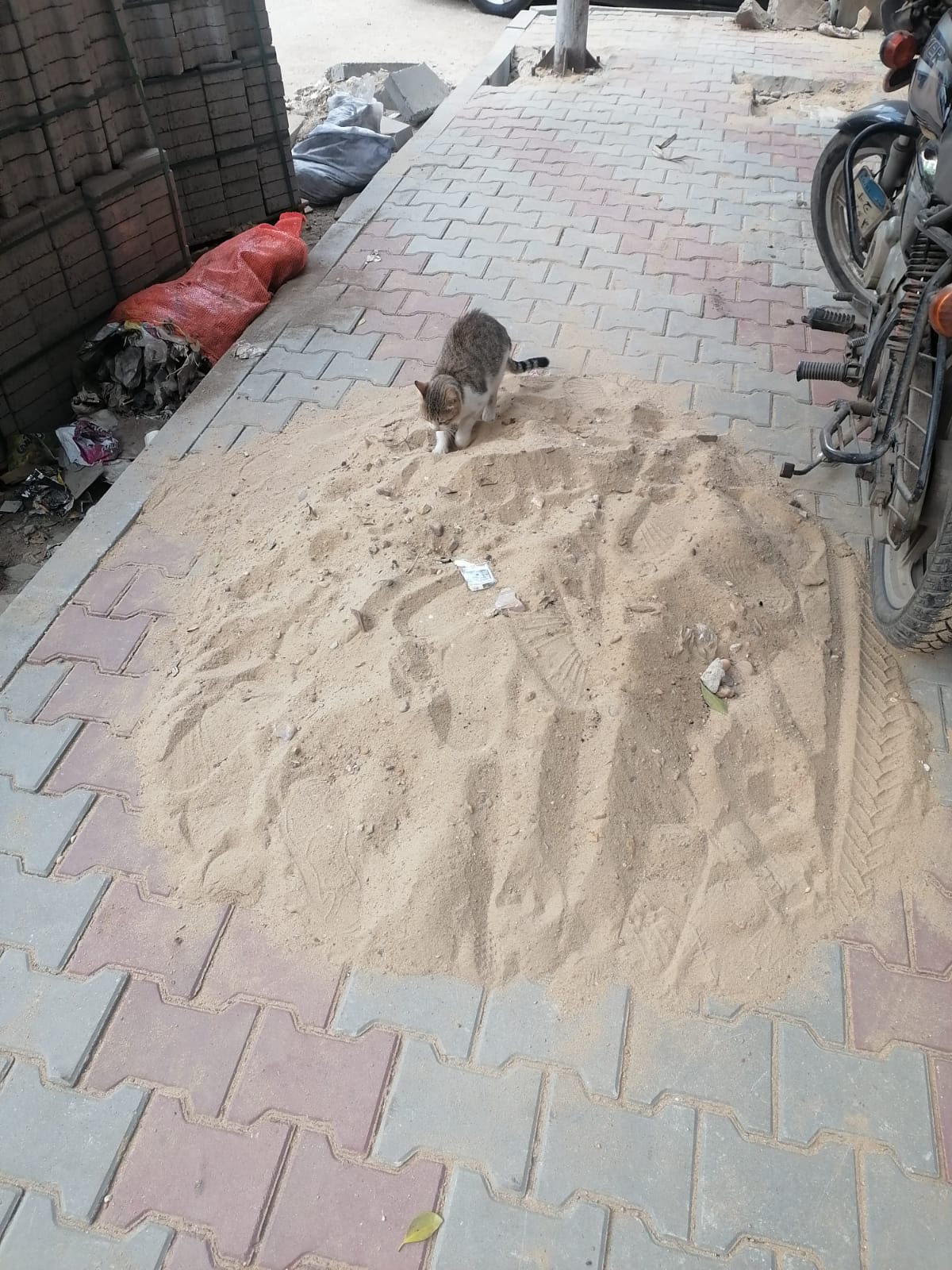 شارع إيران بحي الدقي